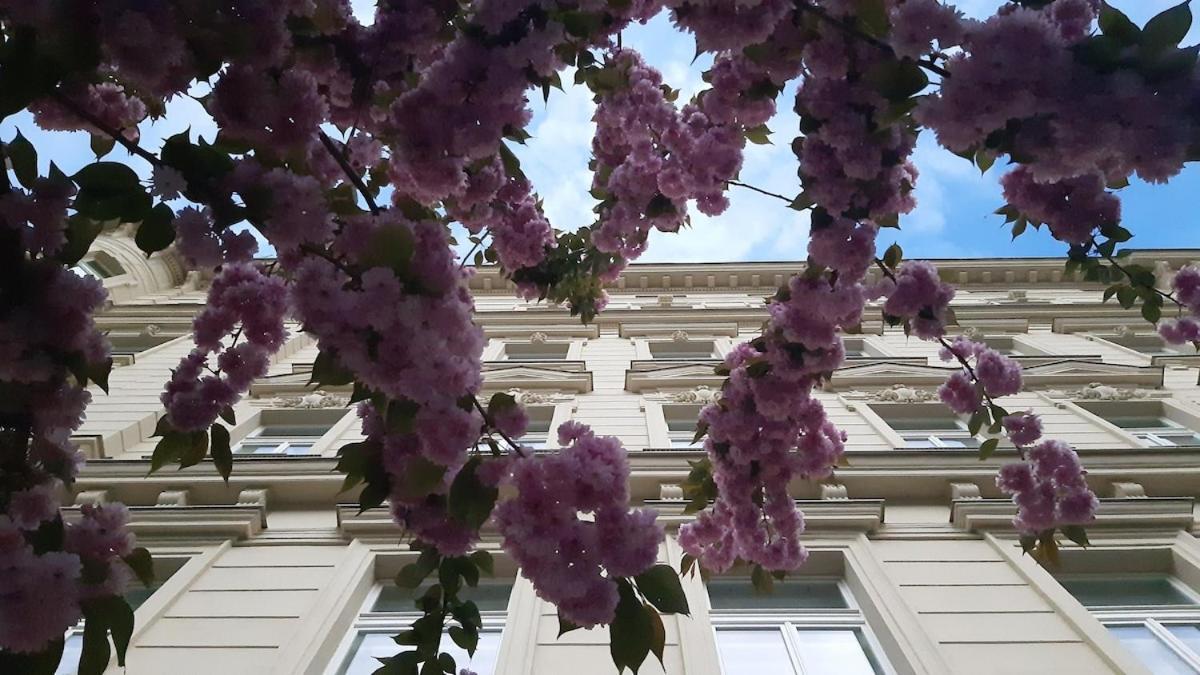 Art Nouveau Treasure Apartmán Praha